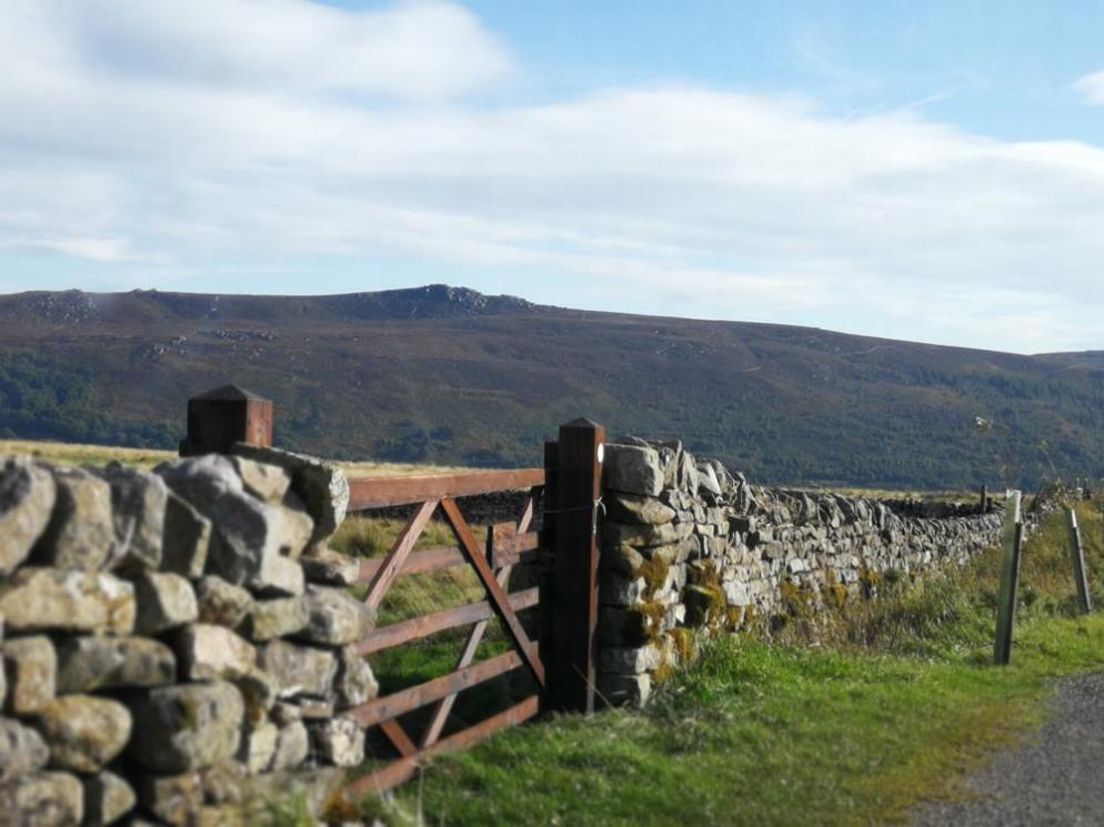 Road towards Parceval Hall Gdns 1 for blog